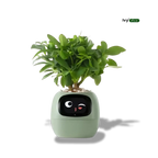 Ivy® - Jouw Slimme Plantenbak