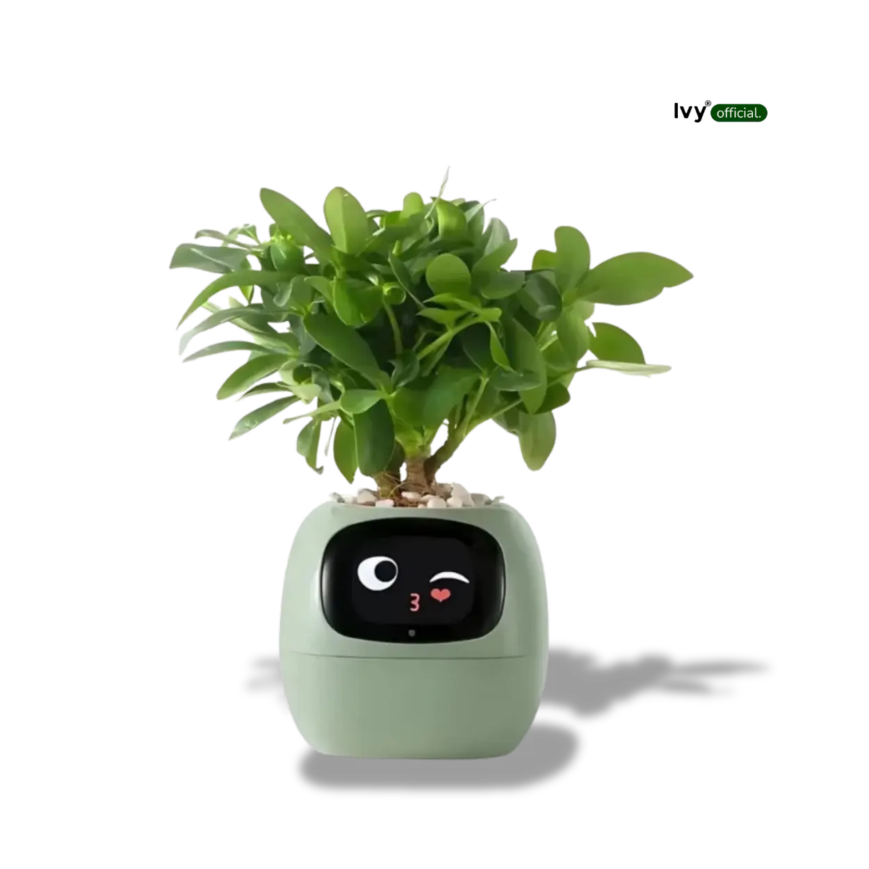 Ivy® - Jouw Slimme Plantenbak