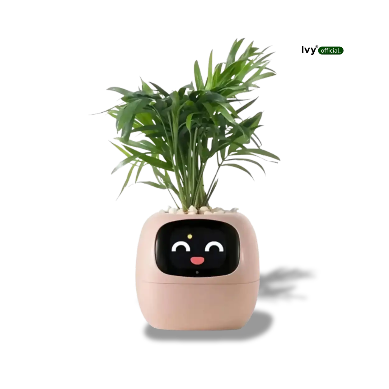 Ivy® - Jouw Slimme Plantenbak