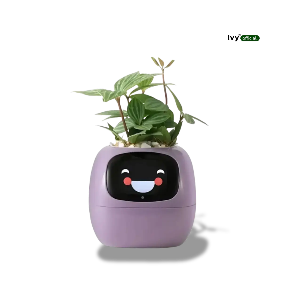 Ivy® - Jouw Slimme Plantenbak