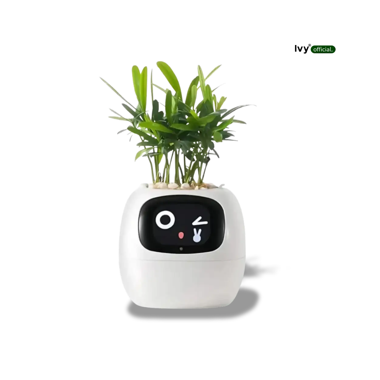 Ivy® - Jouw Slimme Plantenbak