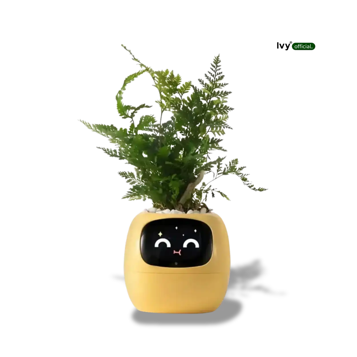 Ivy® - Jouw Slimme Plantenbak